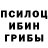 Псилоцибиновые грибы Psilocybe Vash Prithipal