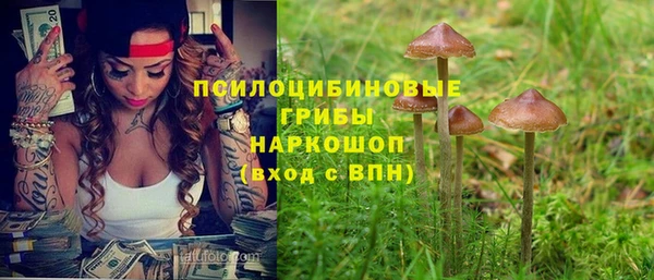 синтетический гашиш Алексеевка