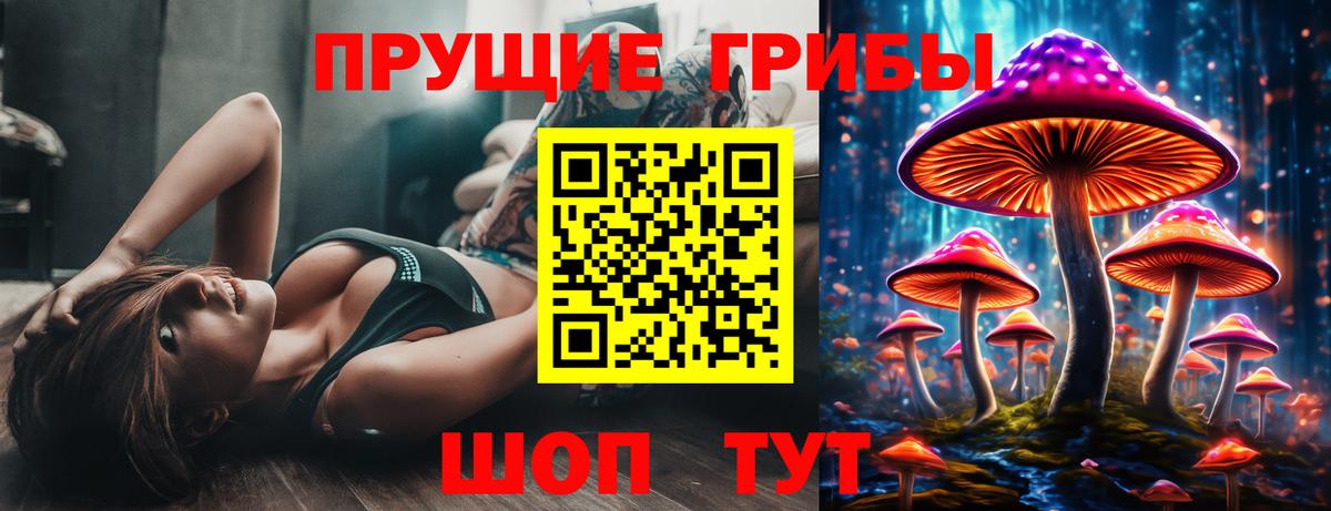 Галлюциногенные грибы GOLDEN TEACHER Междуреченск